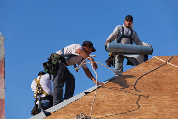 Best Shingle Roofing Installation  in Kingsley, MI