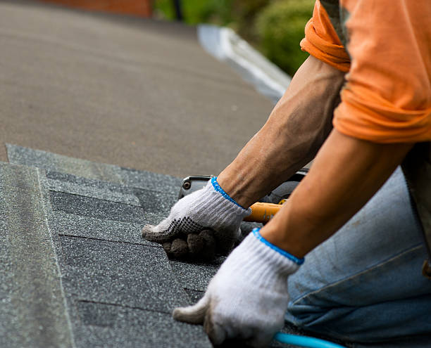 Best Roof Maintenance Services  in Kingsley, MI