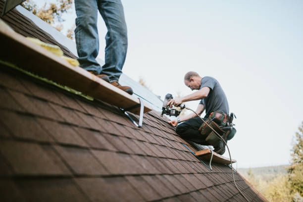 Best New Roof Installation  in Kingsley, MI